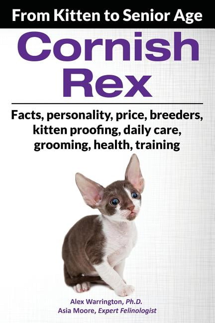 Cornish Rex Breeders German Rex Cat Price Adopt Shell: A Lovable