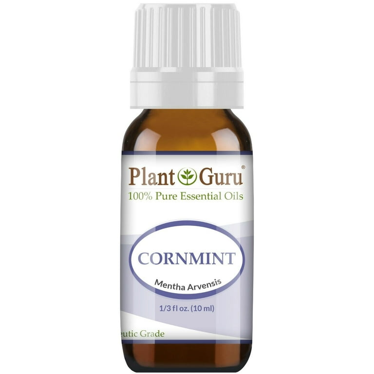 Plant Guru Cornmint Essential Oil 10ml, Japanese Peppermint, 100