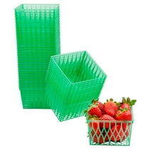 Cornucopia Brands Pint Size Plastic Berry Baskets (48-Pack), 4-Inch Berry Boxes w/ Open-Weave Pattern, Ideal for Summer Picking & Crafts! (48 Boxes)