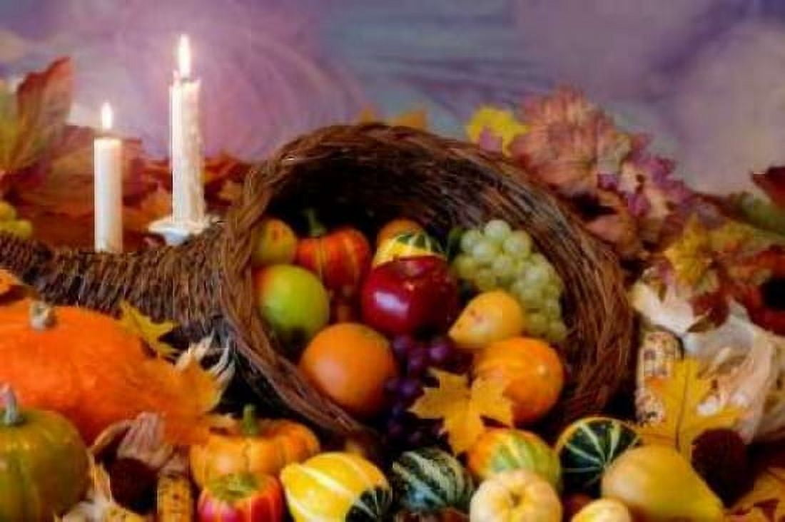 Cornucopia I Canvas Art - Kathy Mahan (24 x 36)