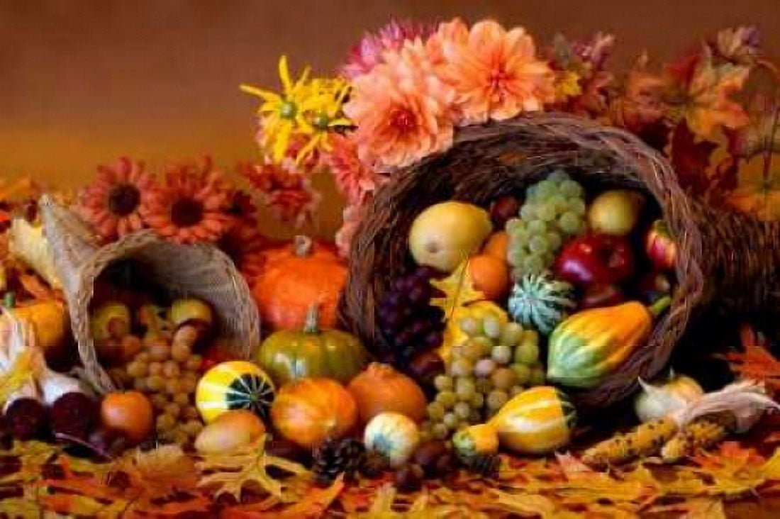 Cornucopia II Canvas Art - Kathy Mahan (24 x 36)