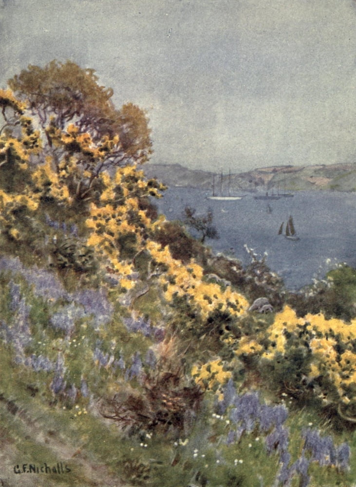 Cornwall 1915 Banks of The Fal Falmouth Canvas Art - George F Nicholls (24 x 36)