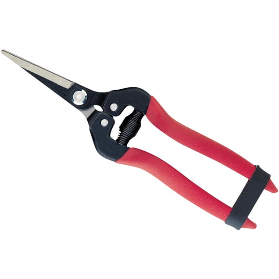 Corona AG 4930SS Stainless Steel Long Straight Pruning / Pruner Snip Clippers - Quantity of 4