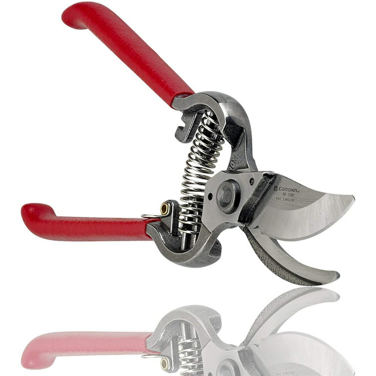 https://i5.walmartimages.com/seo/Corona-BP-3180D-Forged-Classic-Bypass-Pruner-with-1-Inch-Cutting-Capacity-Size-1_f2266e19-adf1-4bb3-ba85-90039e5613a1_1.409c0f47cc3252900f32359c05a14035.jpeg?odnHeight=768&odnWidth=768&odnBg=FFFFFF