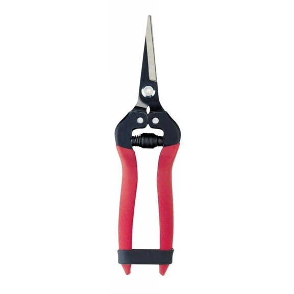 Corona Clipper AG 4930 Harvest/Utility Snips, Long, Straight Pointed Blade - Quantity 1