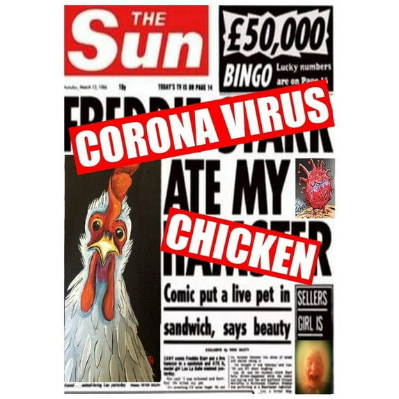 Corona Virus Ate My Chicken, (Paperback)