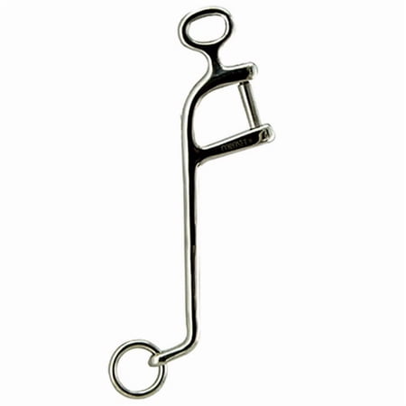 Interchangeable Stainless Steel Bit Cheek Shanks 8" Pairs