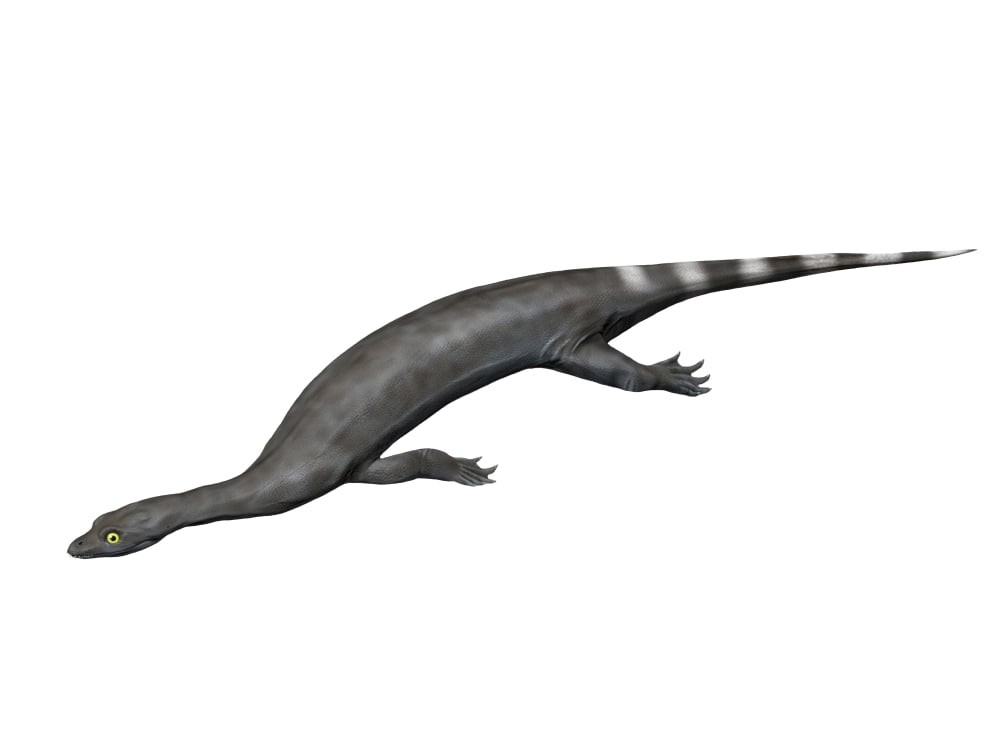 Corosaurus alcovensis Early Triassic of Wyoming USA Canvas Art - Nobumichi TamuraStocktrek Images (17 x 13)