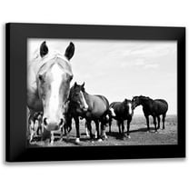 Corpeny, Peggy 14x12 Black Modern Framed Museum Art Print Titled - Wild Whispers I