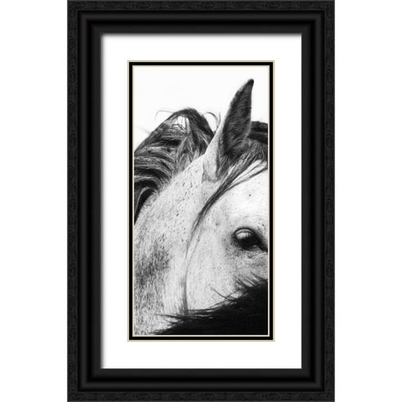 Corpeny, Peggy 9x14 Black Ornate Wood Framed with Double Matting Museum Art Print Titled - Wild Whispers II