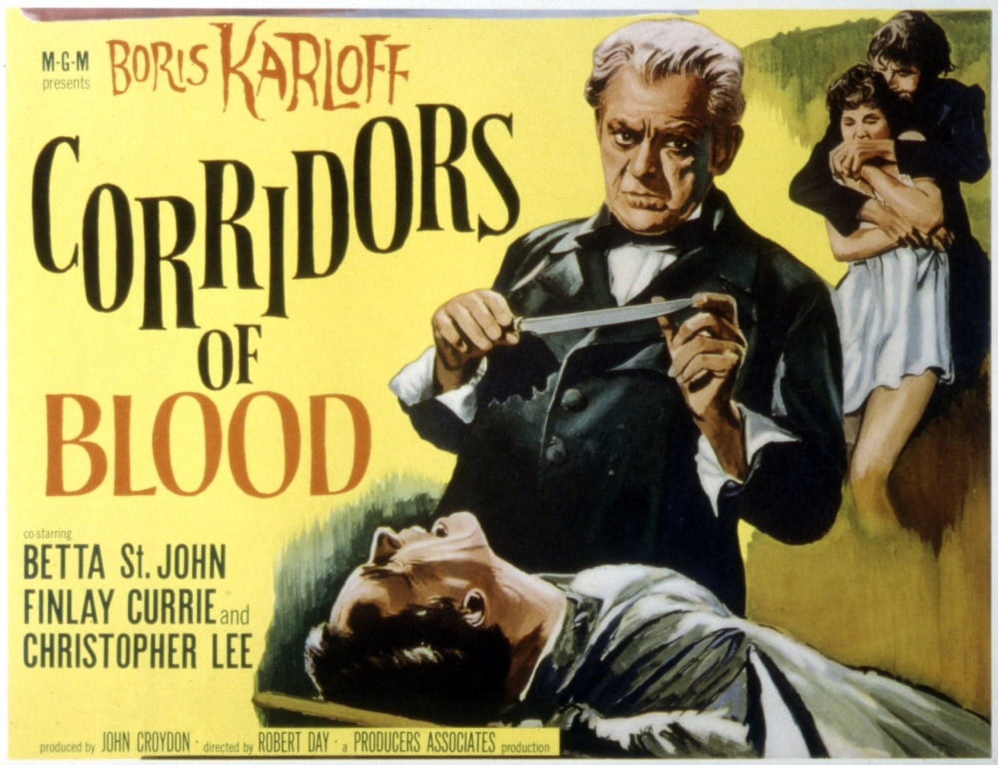 Corridors Of Blood Canvas Art - (28 x 22)