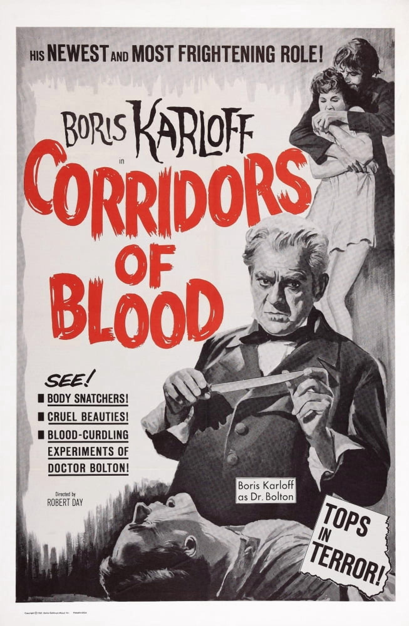 Corridors Of Blood U Canvas Art - (24 x 36)