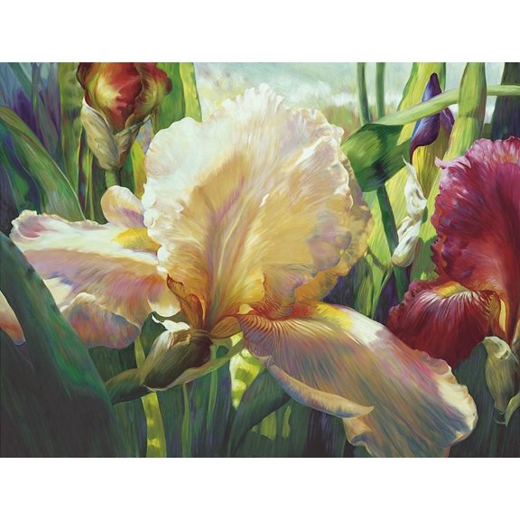 Corrines Iris Poster Print - Elizabeth Horning (36 x 24)