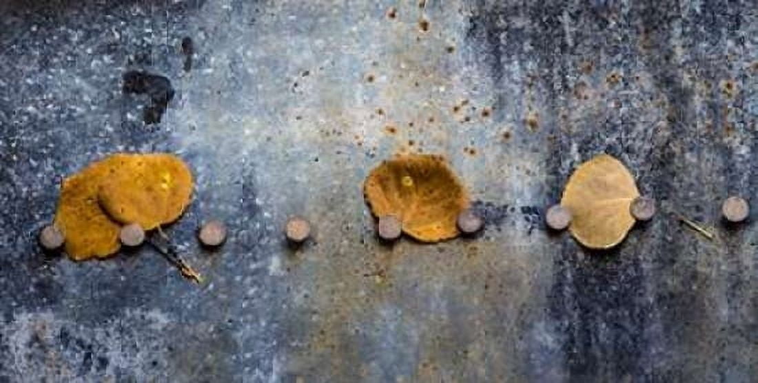 Corroded Metal I Canvas Art - Kathy Mahan (24 x 48)