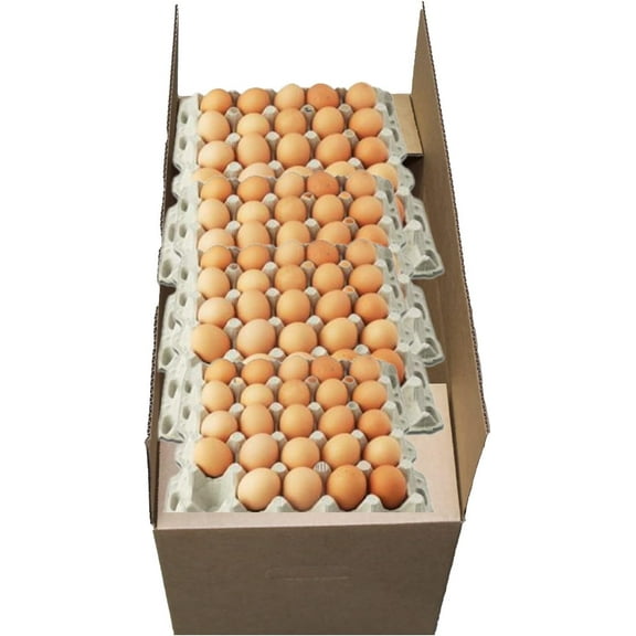 Corrugated Export Egg Boxes with Handles ECT32 - Fits 30 Dozen Eggs - 30 DZ Stock (NO EGGS) (10)