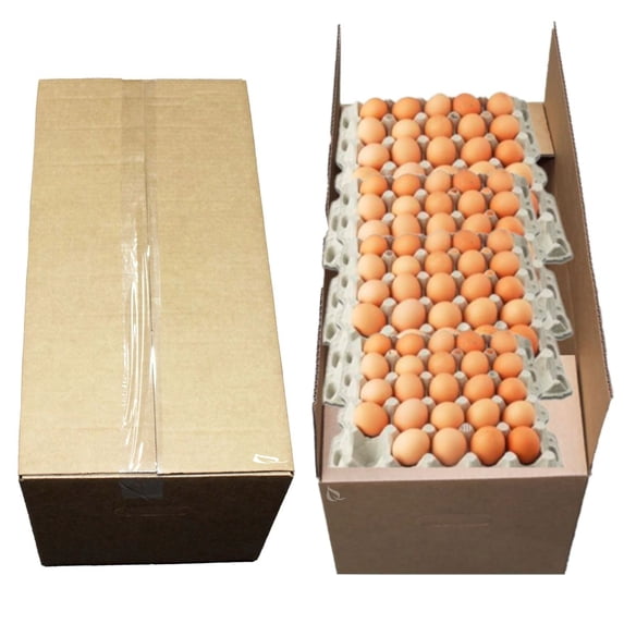 Corrugated Export Egg Boxes with Handles ECT32 - Fits 30 Dozen Eggs - 30 DZ Stock (NO EGGS) (50)