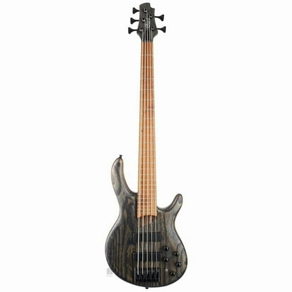 Cort Guitars B5ELEMENTOPTB-U FW-Artisan Element 5-String Bass Open Pore Guitar, Trans Black