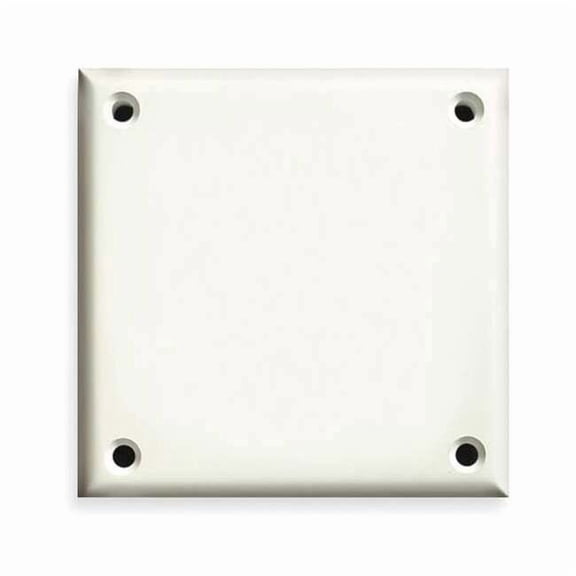 Cortech Blank Wall Plate,Stnd;Wht,2Gng,Txtr TPDBB