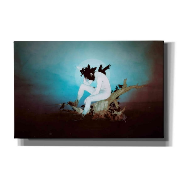 Cortesi Home 'Black Lake' by Mario Sanchez Nevado, Canvas Wall Art, 40"x26"