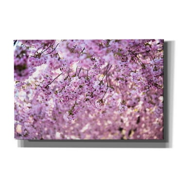 Cortesi Home 'Cherry Blossom Flowers' by Nicklas Gustafsson Canvas Wall Art, 18"x12"