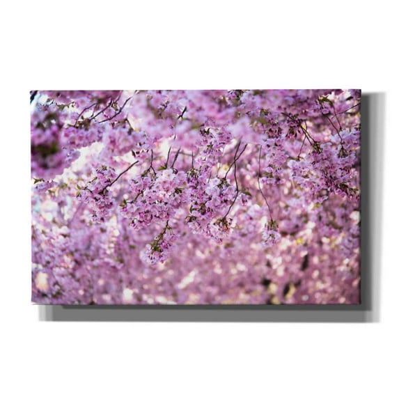 Cortesi Home 'Cherry Blossom Flowers' by Nicklas Gustafsson Canvas Wall Art, 40"x26"