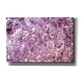 thumbnail image 1 of Cortesi Home 'Cherry Blossom Flowers' by Nicklas Gustafsson Canvas Wall Art, 60"x40", 1 of 2