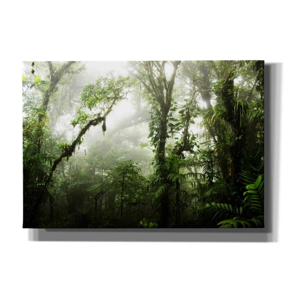 Cortesi Home 'Clodud Forest' by Nicklas Gustafsson Canvas Wall Art, 26"x18"