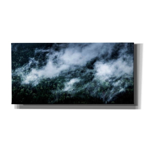 Cortesi Home 'Foggy Mornings In The Mountains' by Nicklas Gustafsson Canvas Wall Art, 24"x12"