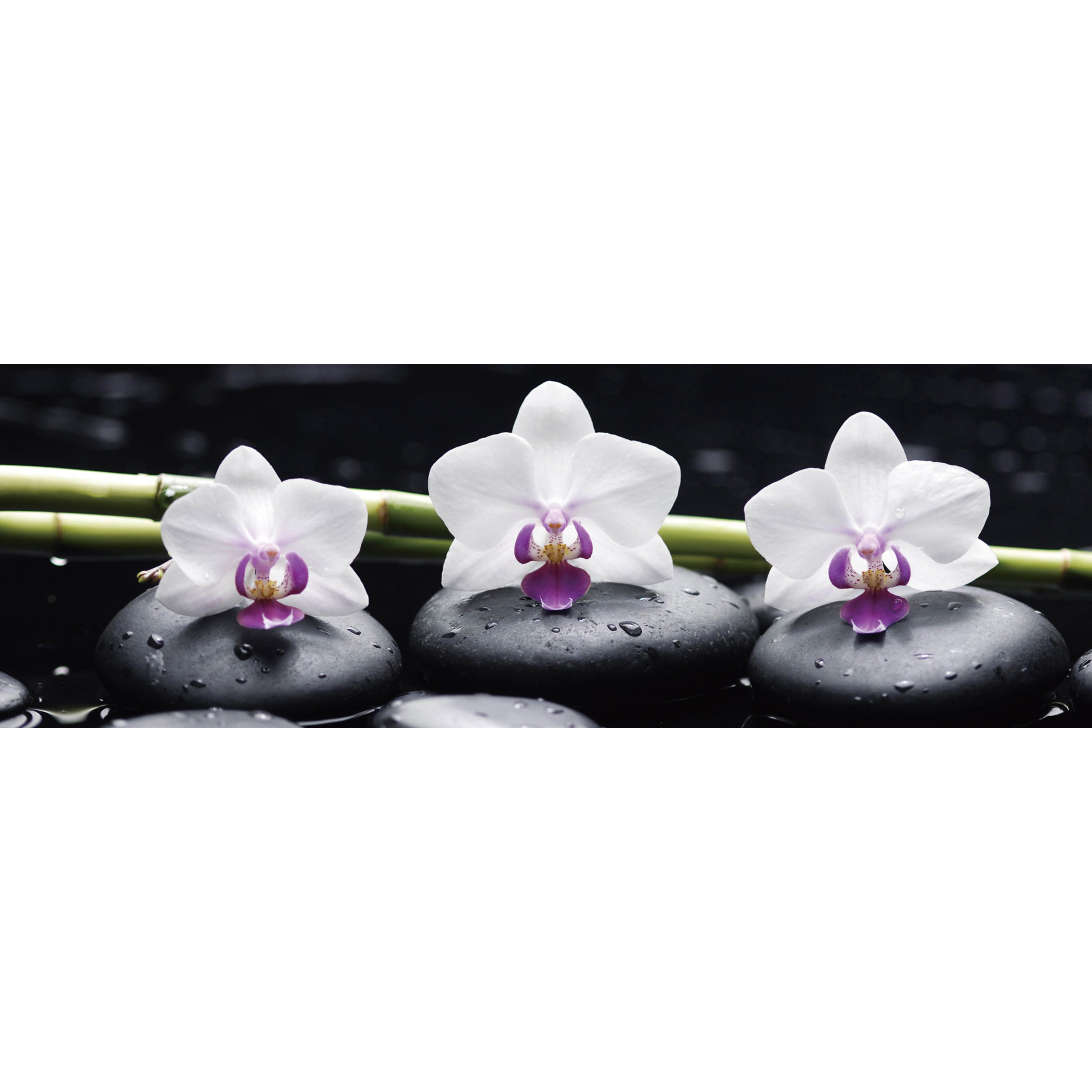 Zen Black and White Floral Tempered Glass Wall Art