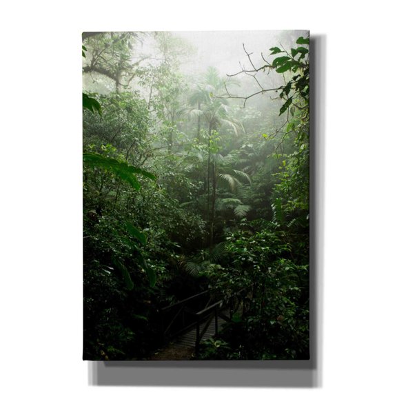 Cortesi Home 'Into The Cloud Forest' by Nicklas Gustafsson Canvas Wall Art, 18"x26"