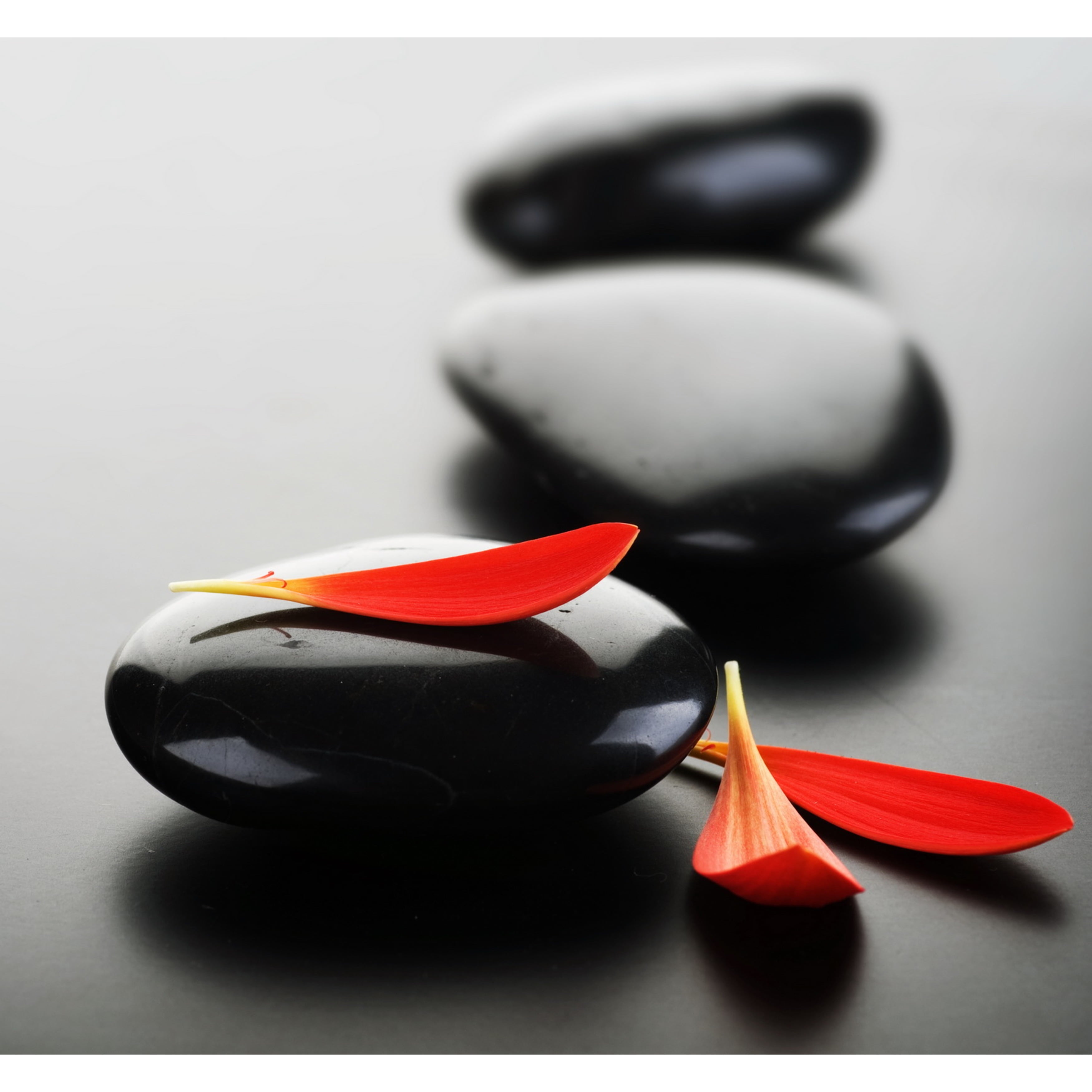 Zen Rock Garden Tempered Glass Wall Art with Red Petals