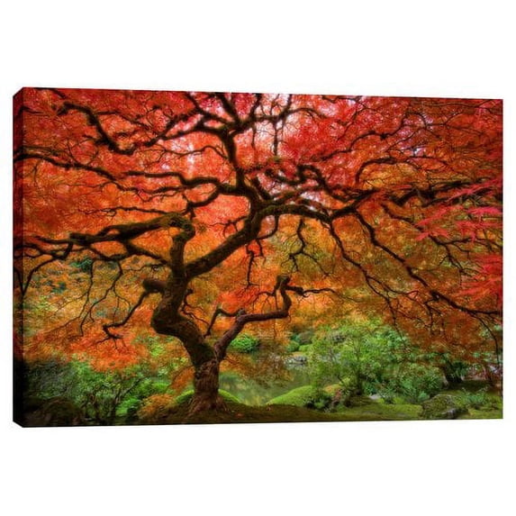 Cortesi Home ''Japanese Maple'' by Jesse Estes Photographic Print on Wrapped Canvas