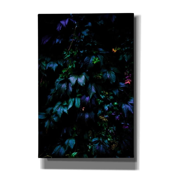Cortesi Home 'Jungle' by Nicklas Gustafsson Canvas Wall Art, 12"x18"