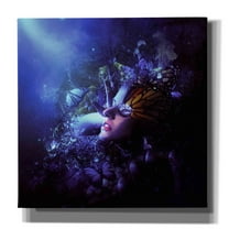 Cortesi Home 'Last Travel of the Butterflies' by Mario Sanchez Nevado, Canvas Wall Art, 37" x 37"