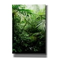 thumbnail image 1 of Cortesi Home 'Misty Rainforest Creek' by Nicklas Gustafsson Canvas Wall Art, 18"x26", 1 of 2