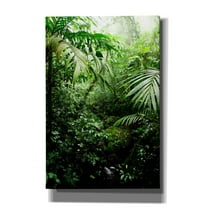Cortesi Home 'Misty Rainforest Creek' by Nicklas Gustafsson Canvas Wall Art, 40"x60"