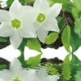 thumbnail image 1 of Cortesi Home  'Peaceful Reflections I' Tempered Glass 12-inch x 12-inch Wall Art, 1 of 4