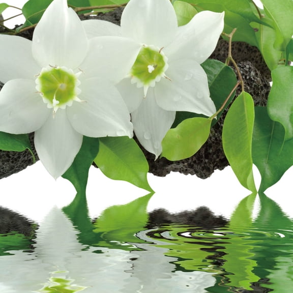 Cortesi Home 'Peaceful Reflections I' Tempered Glass 12-inch x 12-inch Wall Art