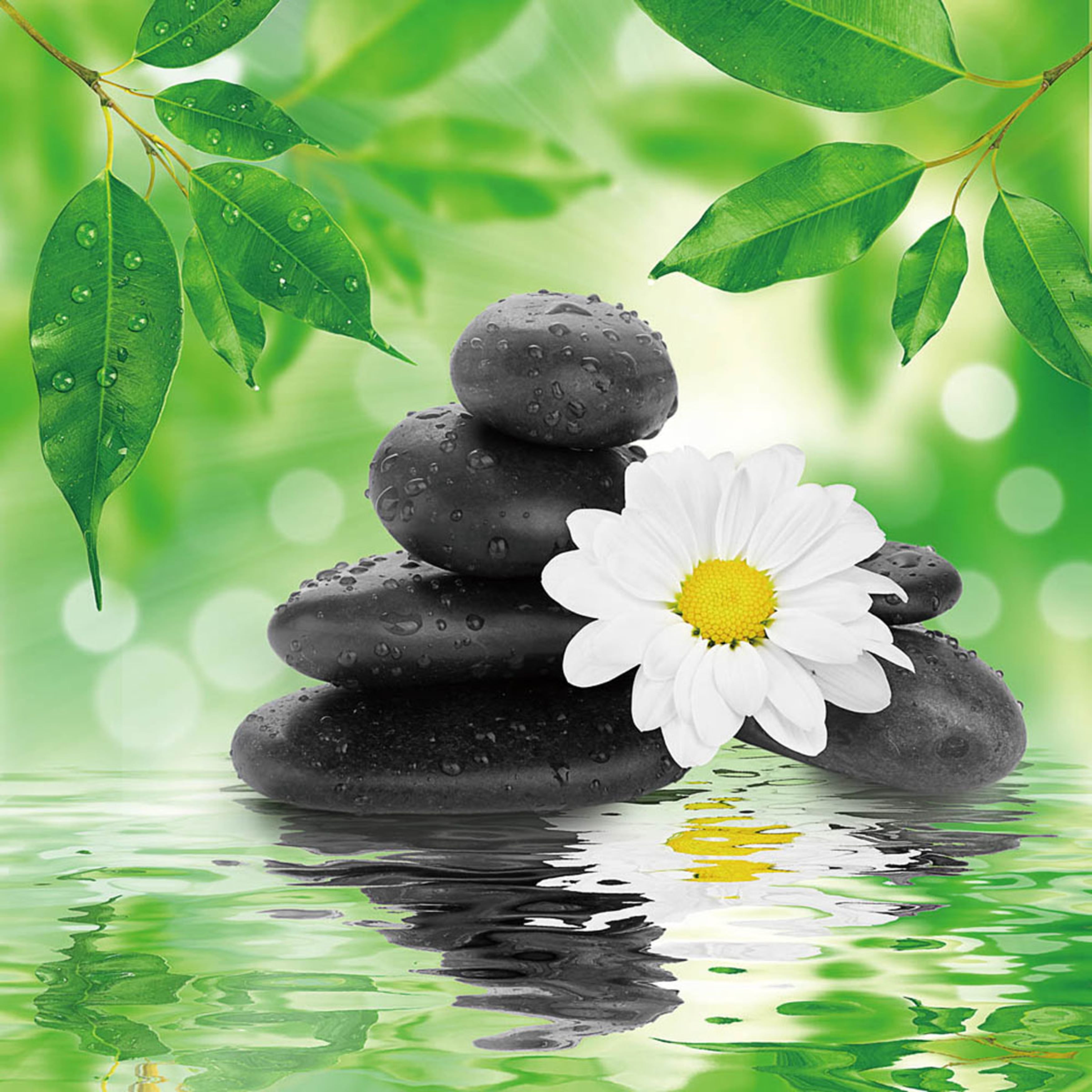 Peaceful Reflections Zen Stones and Daisy Glass Wall Art