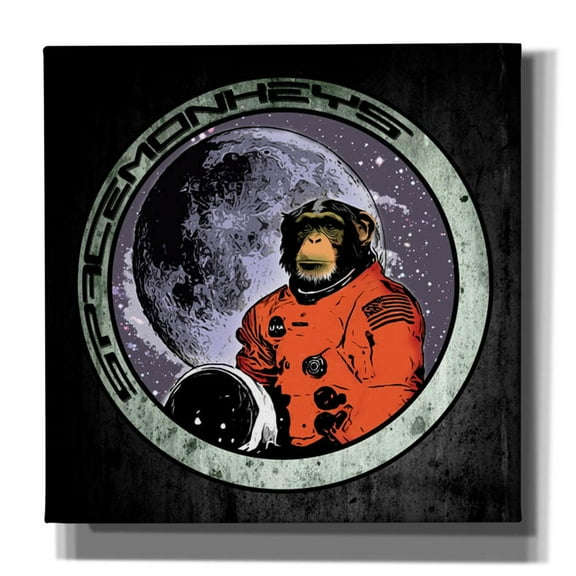 Cortesi Home 'Space Monkeys' by Nicklas Gustafsson, Canvas Wall Art, 18"x18"