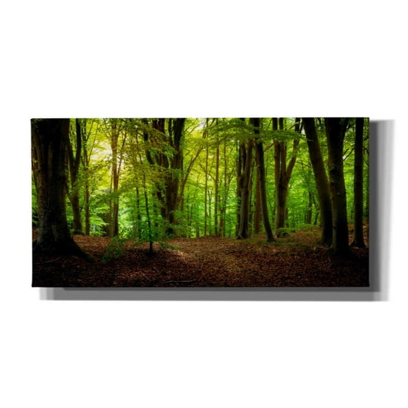 Cortesi Home 'Summer Forest' by Nicklas Gustafsson Canvas Wall Art, 24"x12"