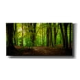 thumbnail image 1 of Cortesi Home 'Summer Forest' by Nicklas Gustafsson Canvas Wall Art, 60"x30", 1 of 2