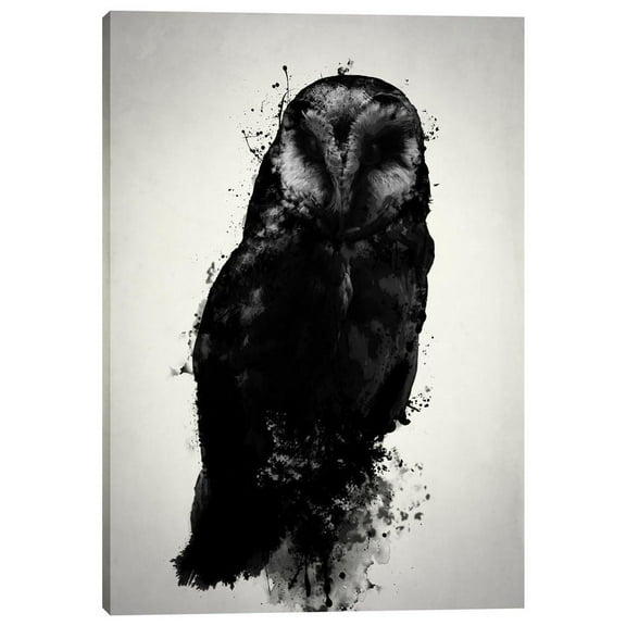 Cortesi Home  "The Owl" by Nicklas Gustafsson, Giclee Canvas Wall Art, 12"x18" 40" x 60"