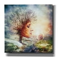 thumbnail image 1 of Cortesi Home 'Treasure' by Mario Sanchez Nevado, Canvas Wall Art, 18" x 18", 1 of 5