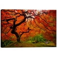thumbnail image 1 of Cortesi Home ''Tree Fire'' by Darren White Photographic Print on Wrapped Canvas, 1 of 4