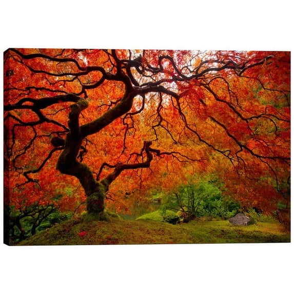Cortesi Home ''Tree Fire'' by Darren White Photographic Print on Wrapped Canvas