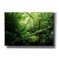 thumbnail image 1 of Cortesi Home 'Warm Glow Rainforest Creek' by Nicklas Gustafsson Canvas Wall Art, 26"x18", 1 of 2