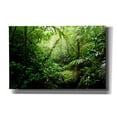 thumbnail image 1 of Cortesi Home 'Warm Glow Rainforest Creek' by Nicklas Gustafsson Canvas Wall Art, 40"x26", 1 of 2