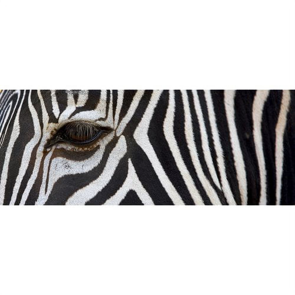 Oversized Black and White Zebra Glass Wall Art