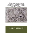 thumbnail image 1 of Cortical Bone Has a Complex Hierarchical Microstructure, Capable of Self Repair, 1 of 1